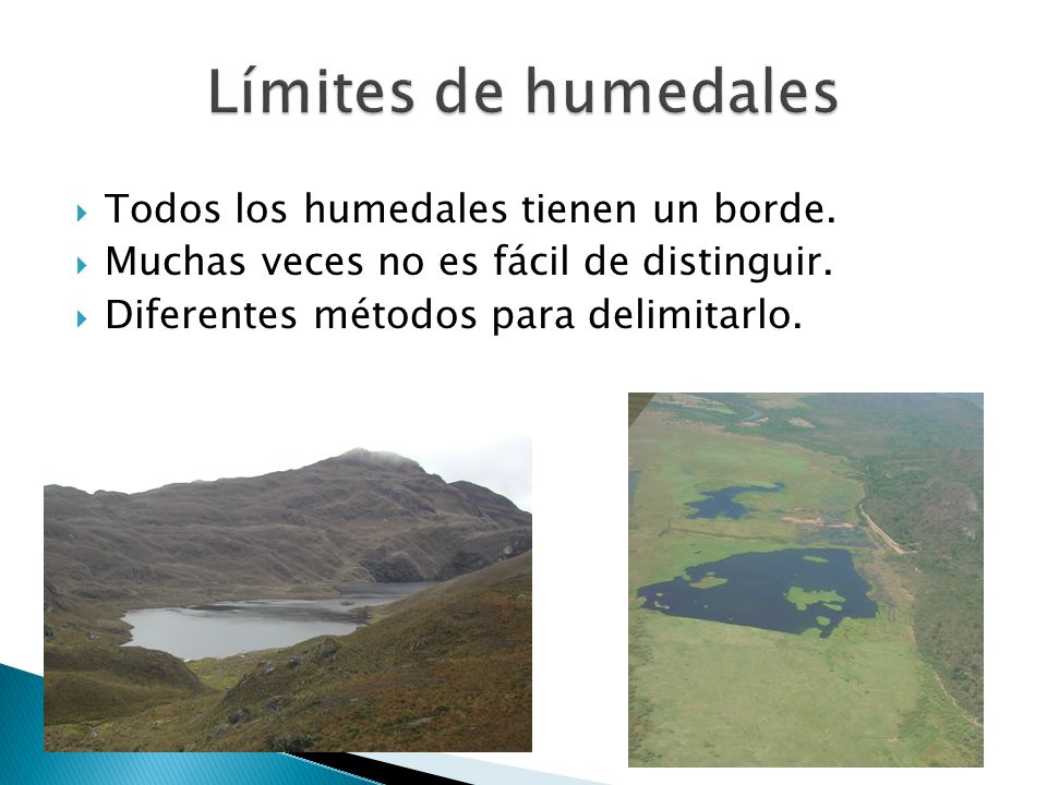 Límites de humedales Todos los humedales tienen un borde.