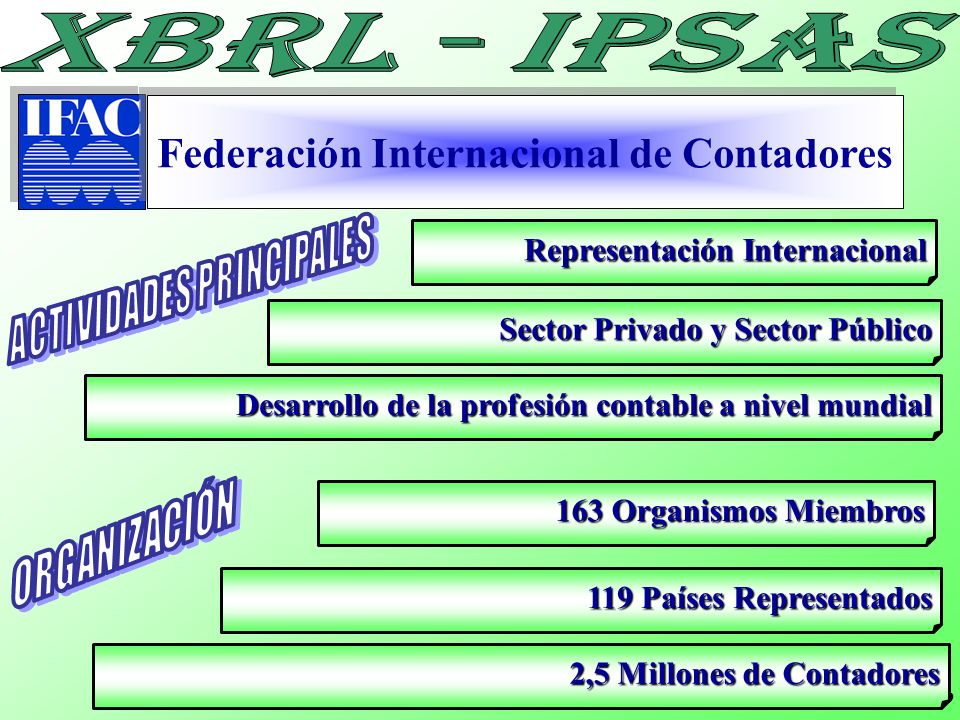 Federación Internacional de Contadores ACTIVIDADES PRINCIPALES