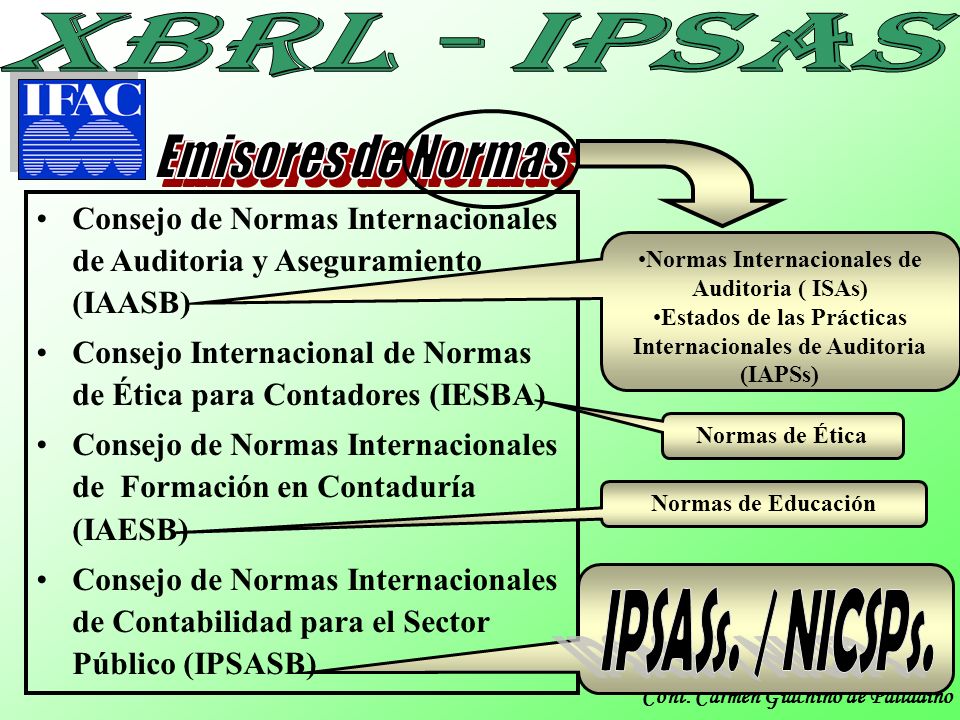 IPSASs. / NICSPs. Emisores de Normas
