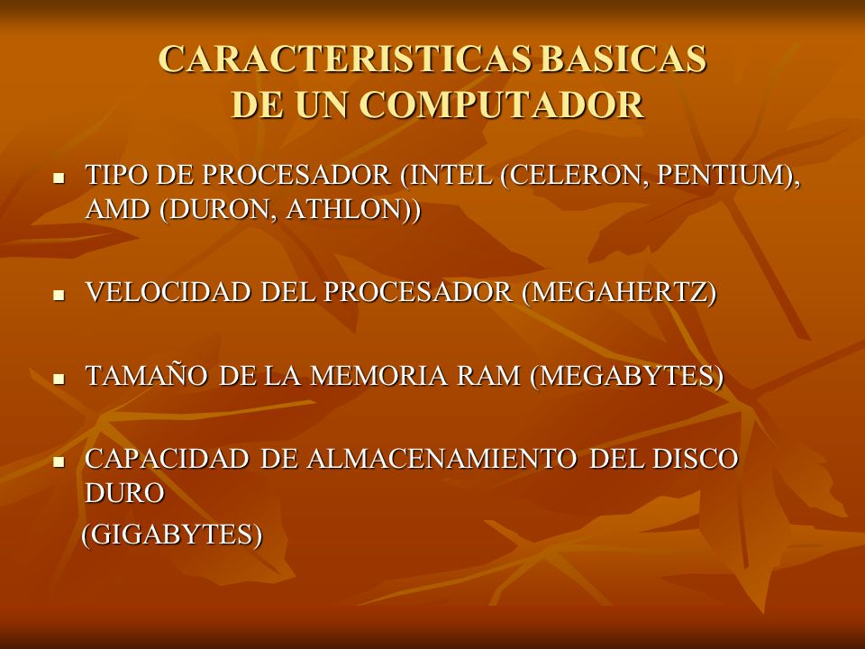 CARACTERISTICAS BASICAS DE UN COMPUTADOR