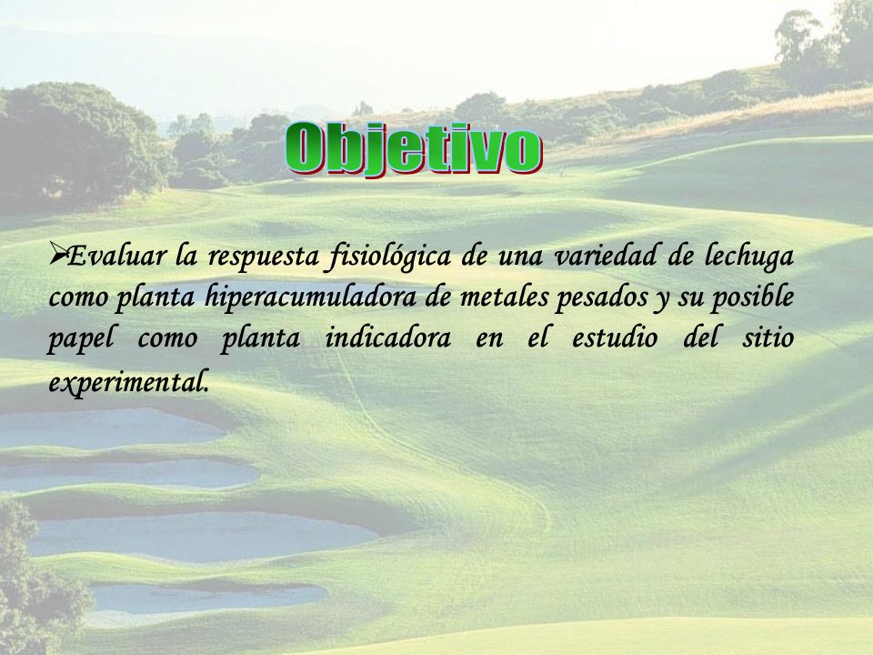 Objetivo