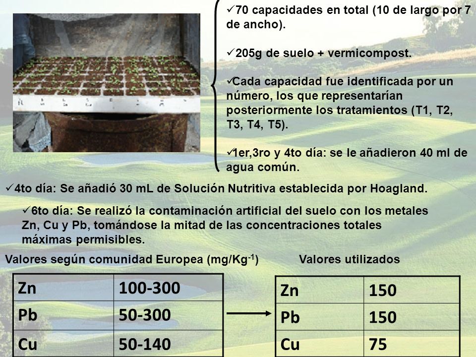 70 capacidades en total (10 de largo por 7 de ancho).