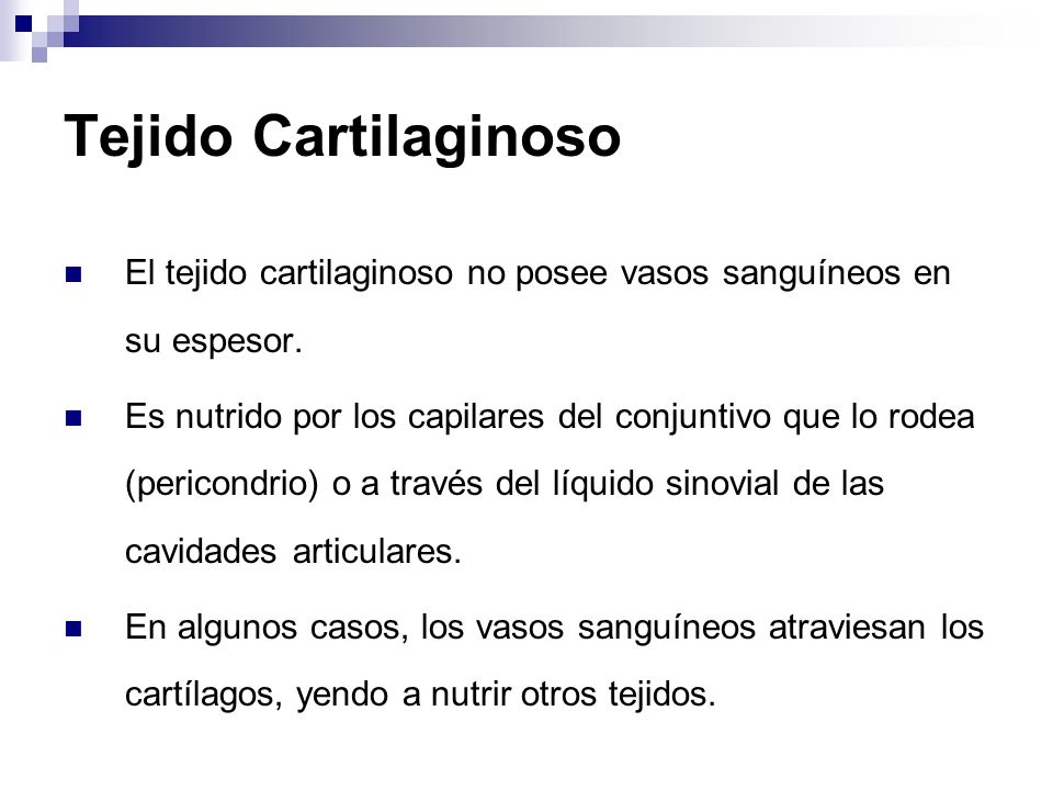 Tejido Cartilaginoso El tejido cartilaginoso no posee vasos sanguíneos en su espesor.