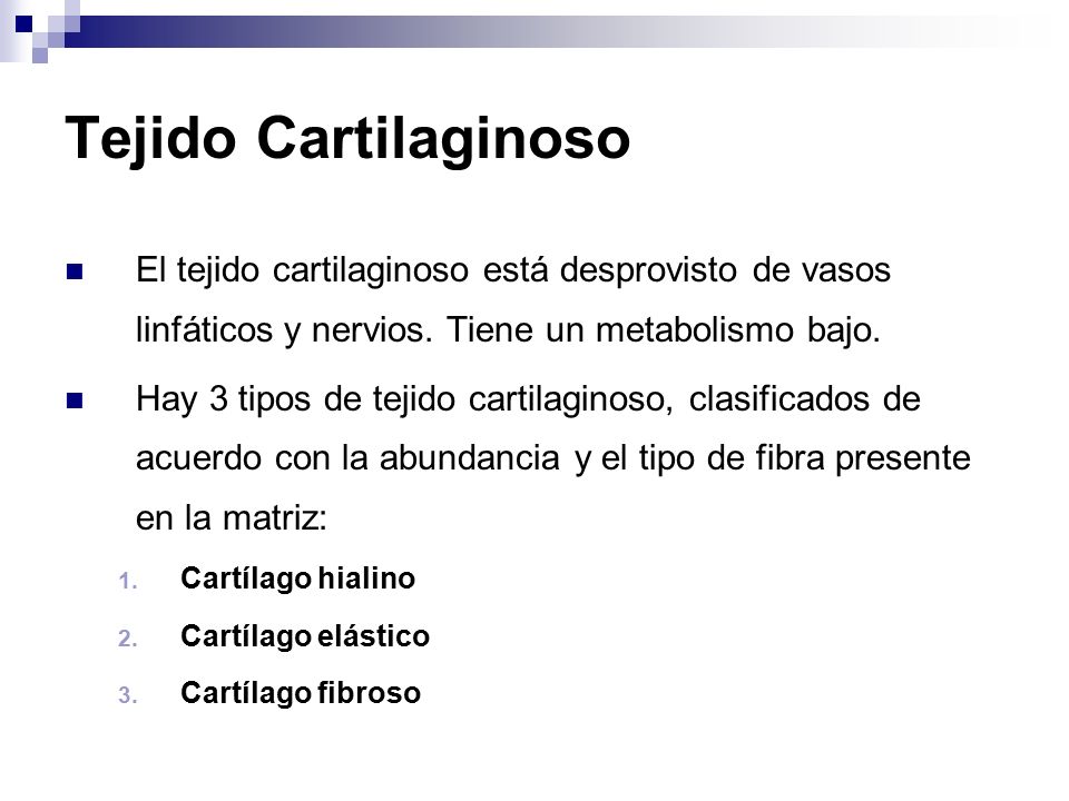 Tejido Cartilaginoso El tejido cartilaginoso está desprovisto de vasos linfáticos y nervios. Tiene un metabolismo bajo.