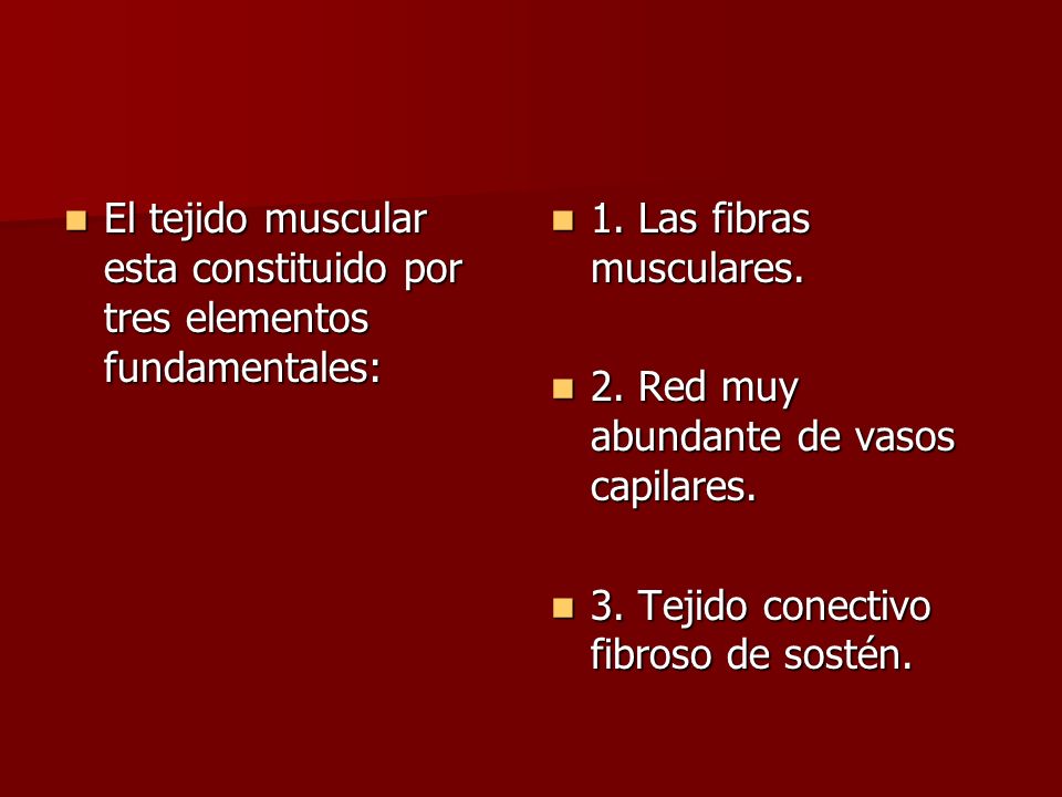 El tejido muscular esta constituido por tres elementos fundamentales: