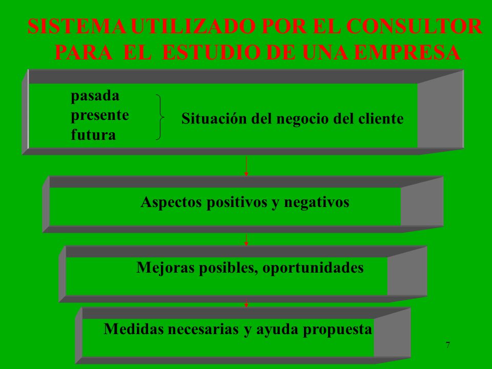 SISTEMA UTILIZADO POR EL CONSULTOR PARA EL ESTUDIO DE UNA EMPRESA
