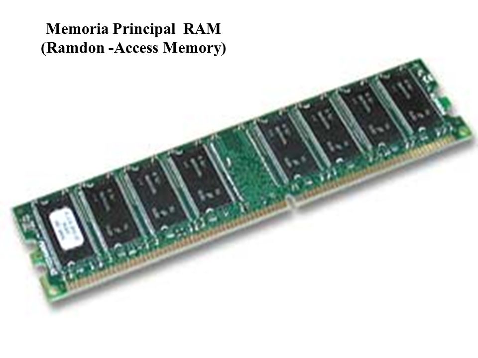 Memoria Principal RAM (Ramdon -Access Memory)
