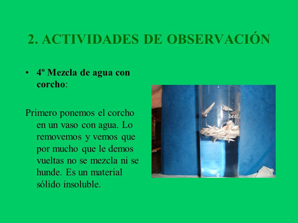 2. ACTIVIDADES DE OBSERVACIÓN