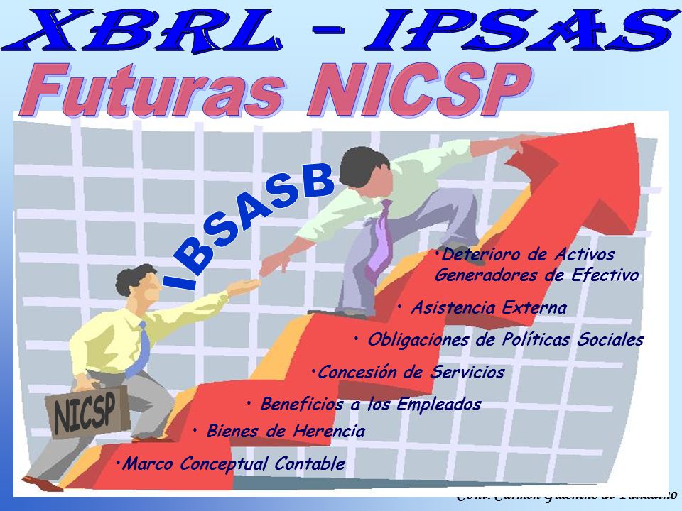 IBSASB NICSP Futuras NICSP