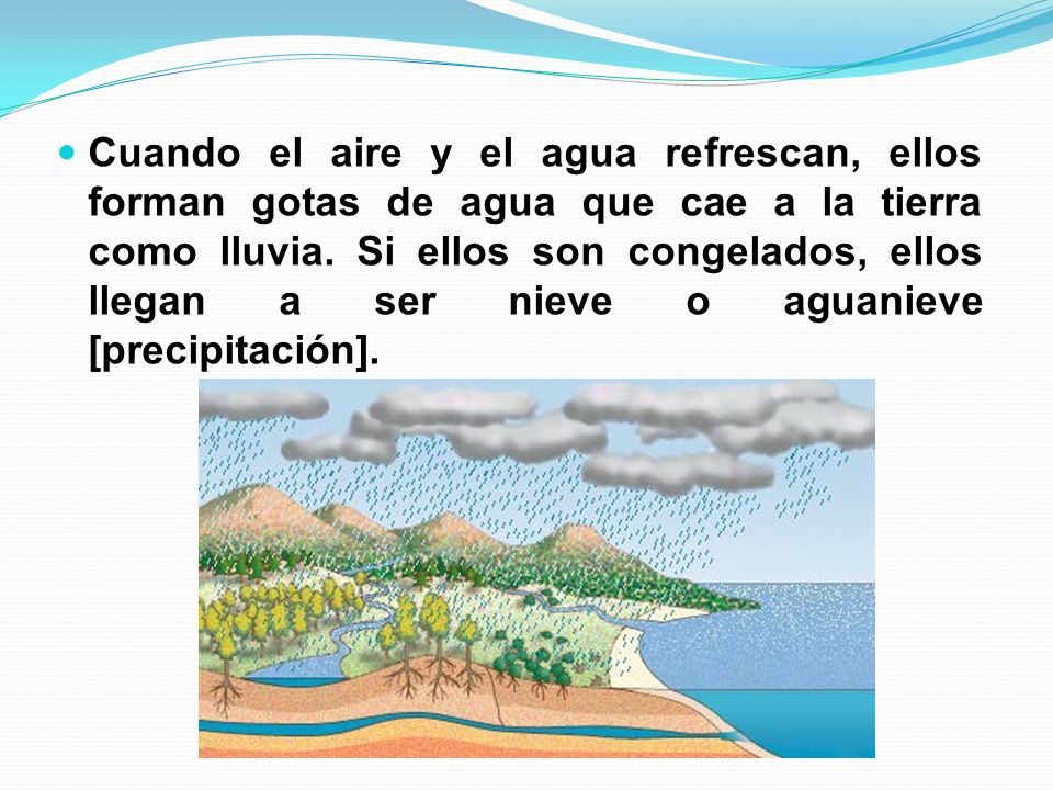 Cuando el aire y el agua refrescan, ellos forman gotas de agua que cae a la tierra como lluvia.