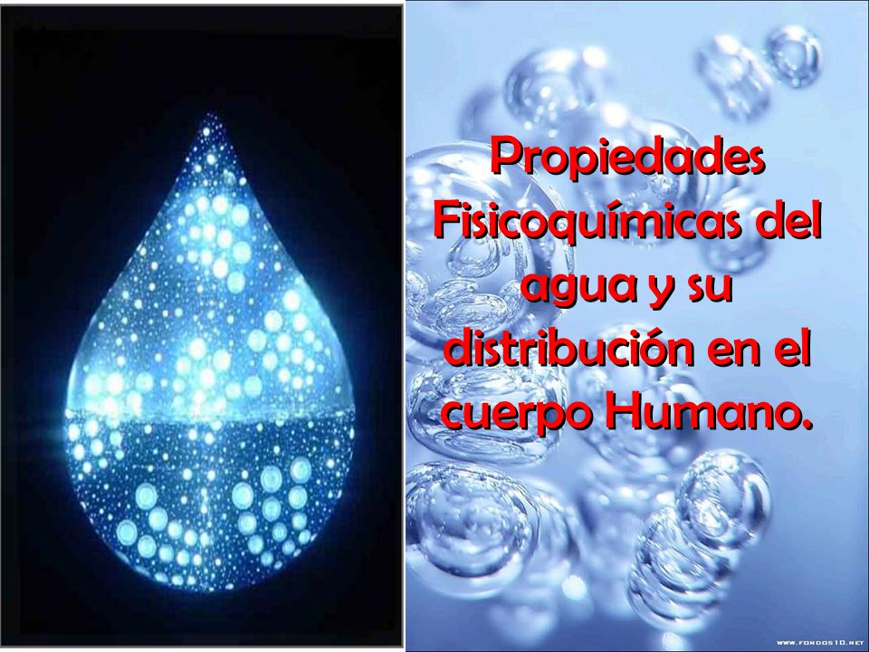 Propiedades Fisicoquímicas del agua y su distribución en el cuerpo Humano.