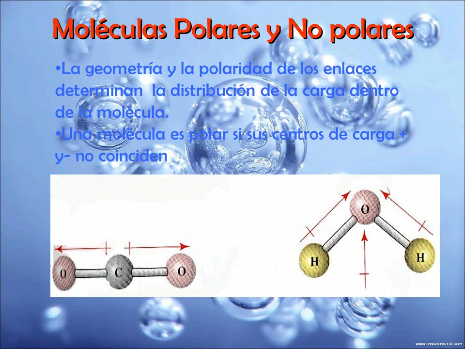 Moléculas Polares y No polares