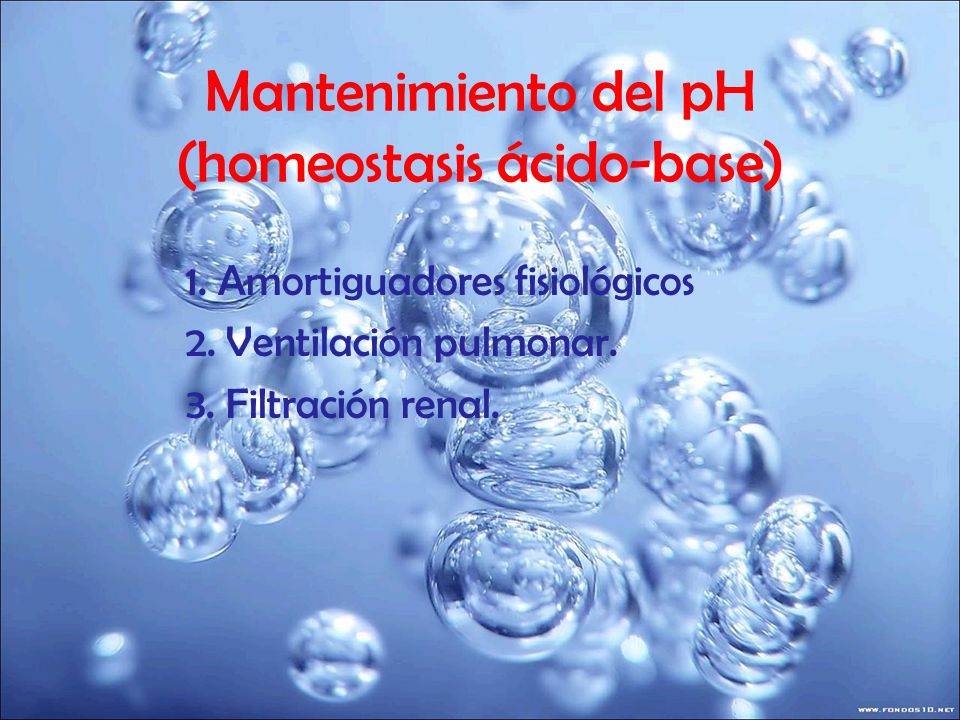 Mantenimiento del pH (homeostasis ácido-base)