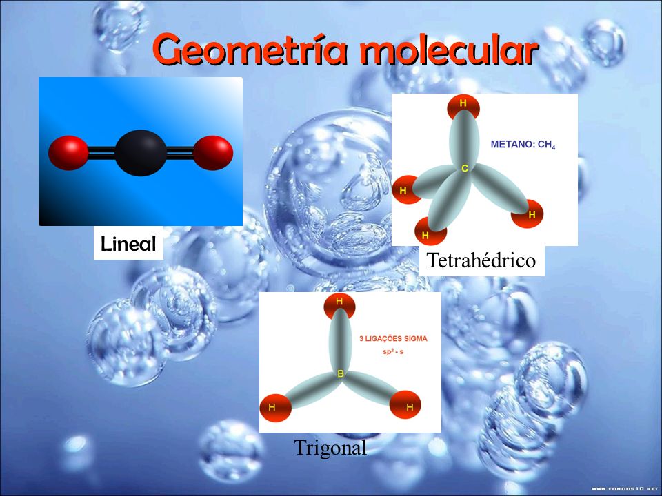 Geometría molecular Lineal Tetrahédrico Trigonal