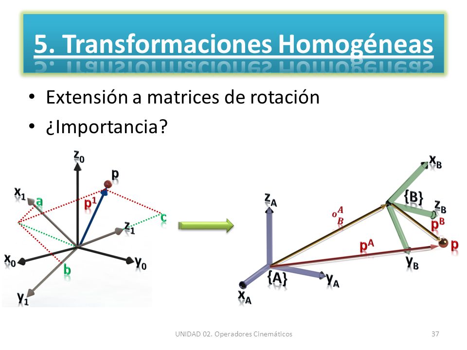 5. Transformaciones Homogéneas