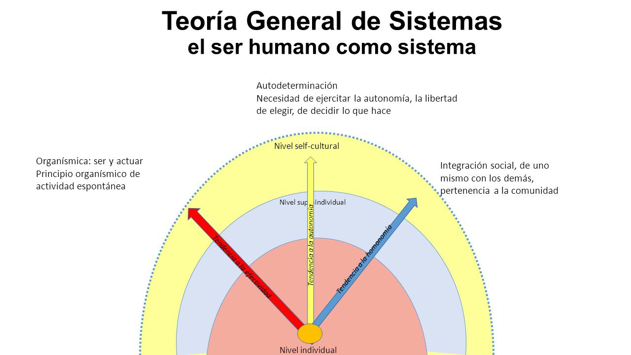 Teoría General de Sistemas el ser humano como sistema