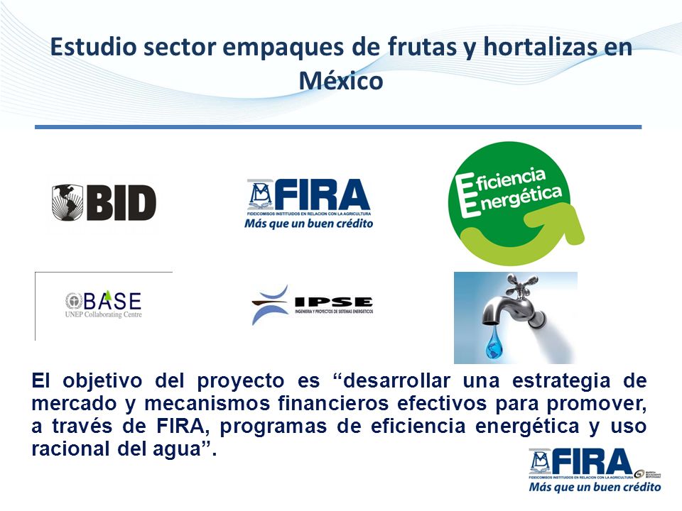 Estudio sector empaques de frutas y hortalizas en México