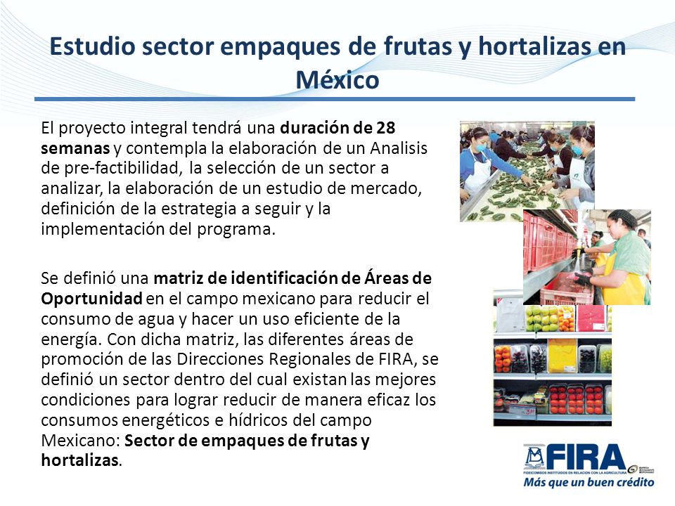 Estudio sector empaques de frutas y hortalizas en México