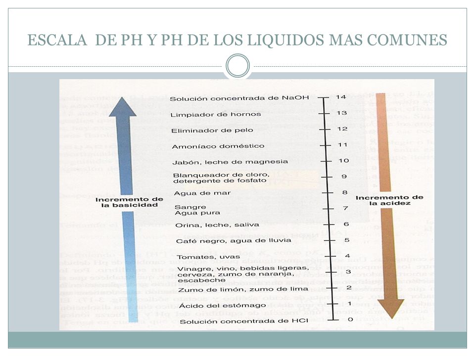 ESCALA DE PH Y PH DE LOS LIQUIDOS MAS COMUNES