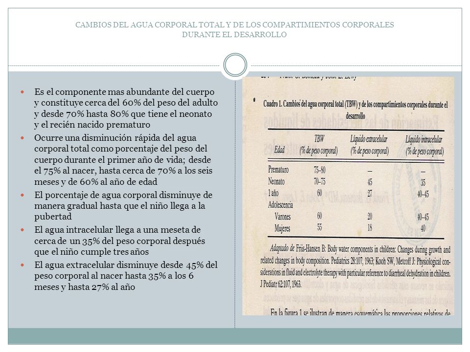 CAMBIOS DEL AGUA CORPORAL TOTAL Y DE LOS COMPARTIMIENTOS CORPORALES DURANTE EL DESARROLLO