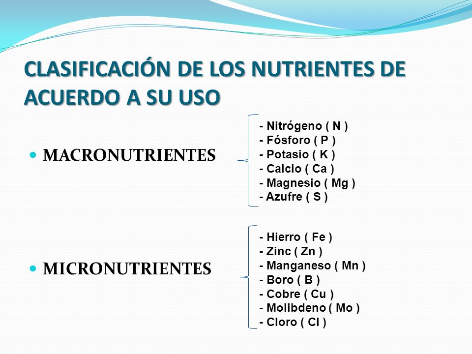 CLASIFICACIÓN DE LOS NUTRIENTES DE ACUERDO A SU USO