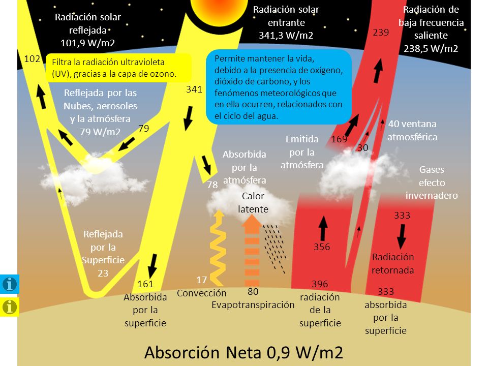 Absorción Neta 0,9 W/m2 Radiación solar entrante 341,3 W/m2