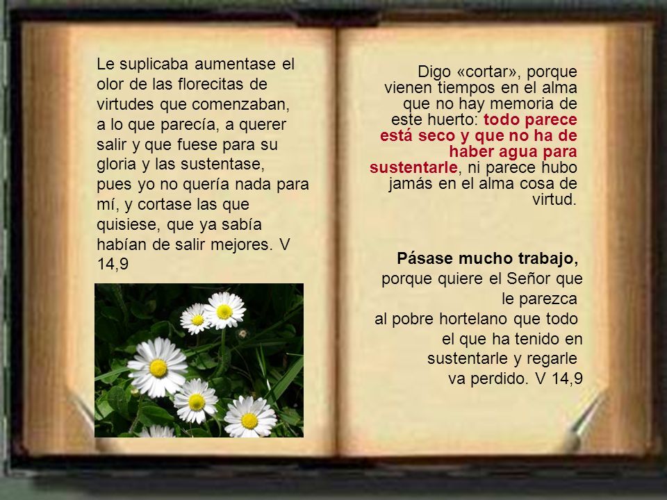 porque quiere el Señor que le parezca al pobre hortelano que todo