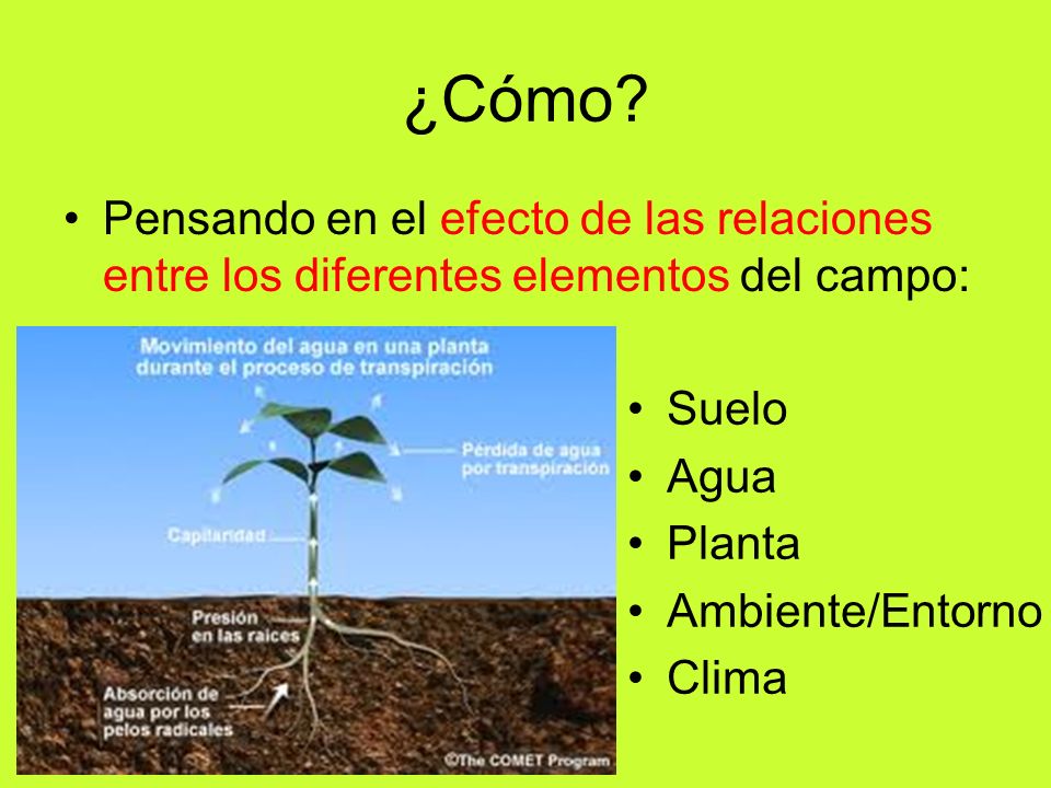 ¿Cómo Pensando en el efecto de las relaciones entre los diferentes elementos del campo: Suelo. Agua.