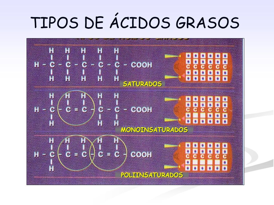 TIPOS DE ÁCIDOS GRASOS SATURADOS MONOINSATURADOS POLIINSATURADOS
