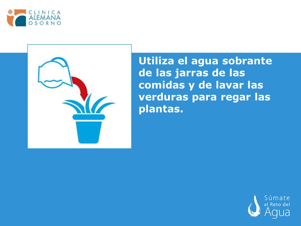 Utiliza el agua sobrante de las jarras de las comidas y de lavar las verduras para regar las plantas.
