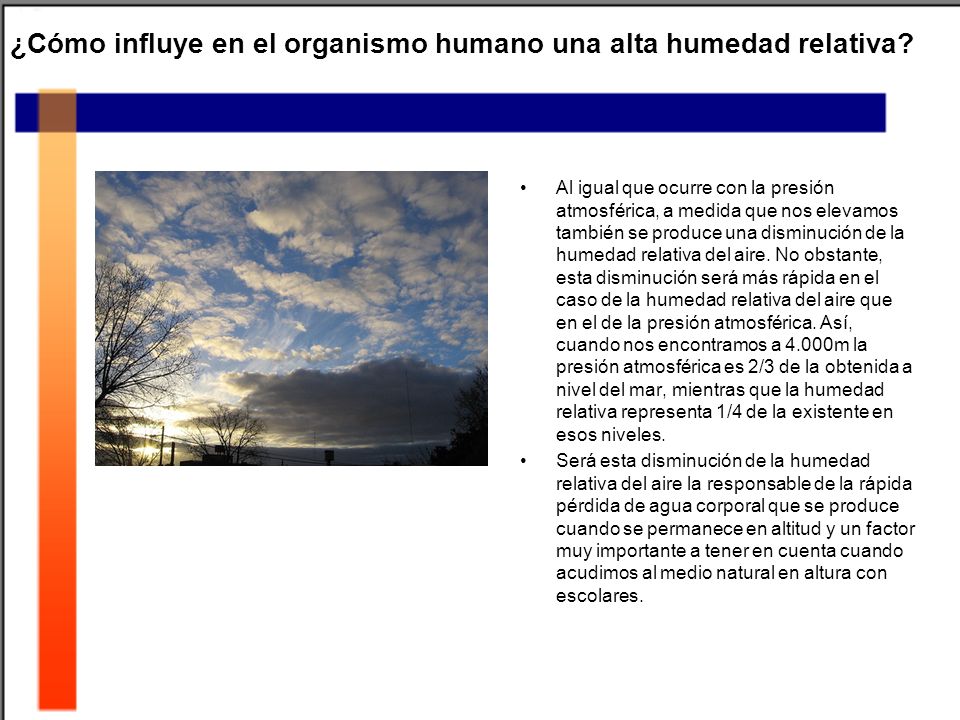 ¿Cómo influye en el organismo humano una alta humedad relativa