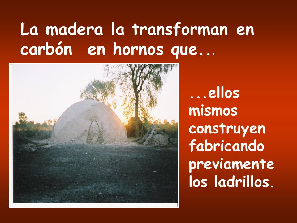 La madera la transforman en carbón en hornos que...