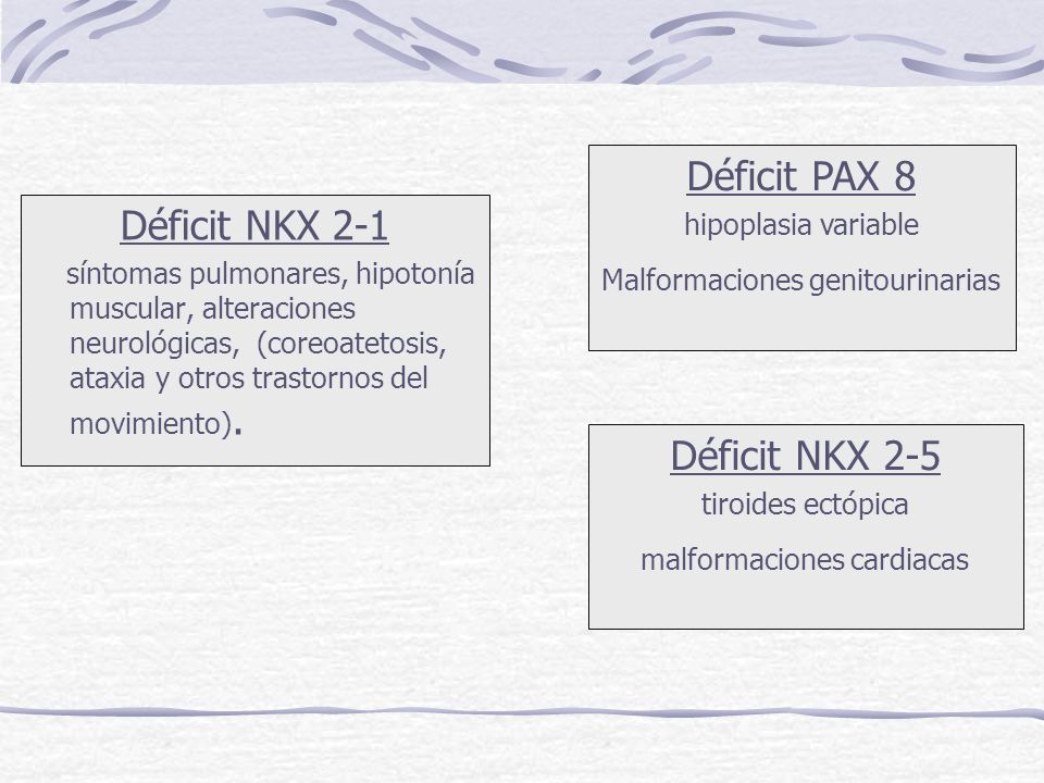 Déficit PAX 8 Déficit NKX 2-1 Déficit NKX 2-5 hipoplasia variable