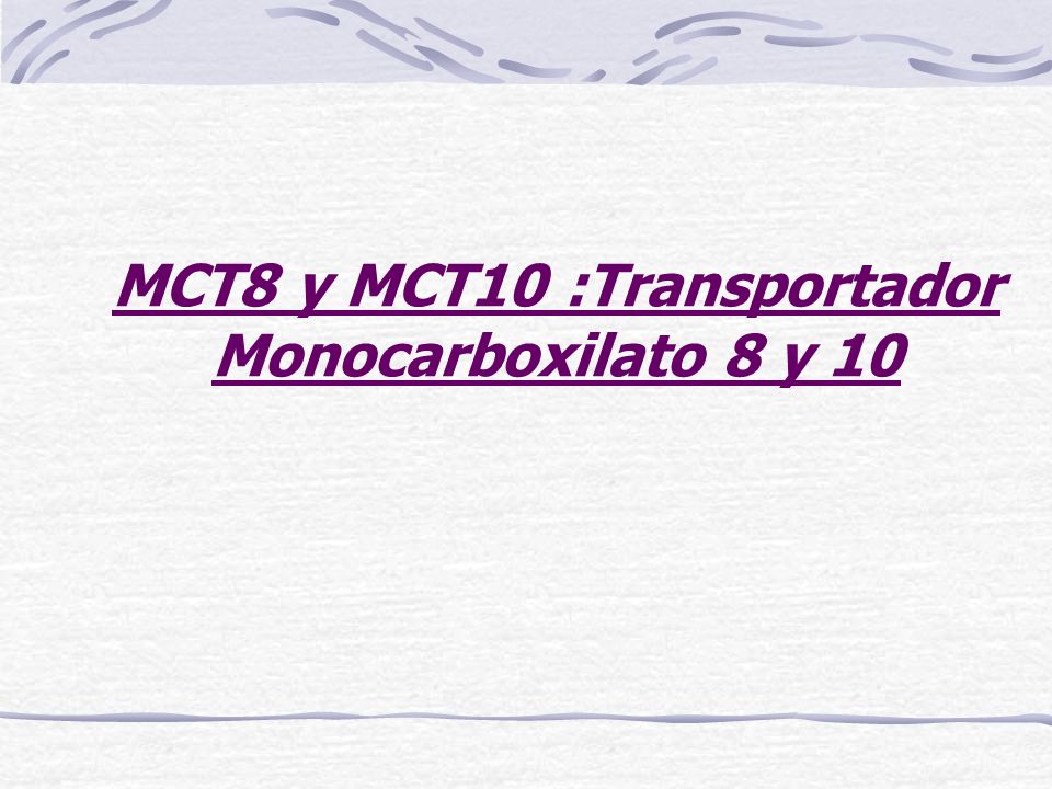 MCT8 y MCT10 :Transportador Monocarboxilato 8 y 10