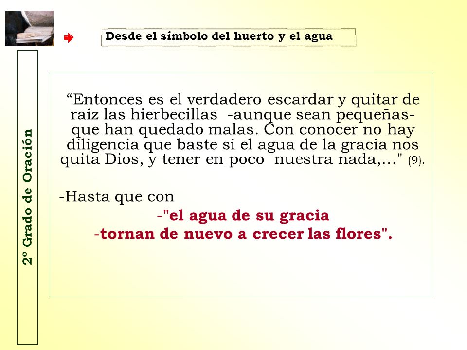 tornan de nuevo a crecer las flores .