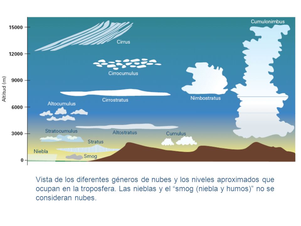 Vista de los diferentes géneros de nubes y los niveles aproximados que ocupan en la troposfera.