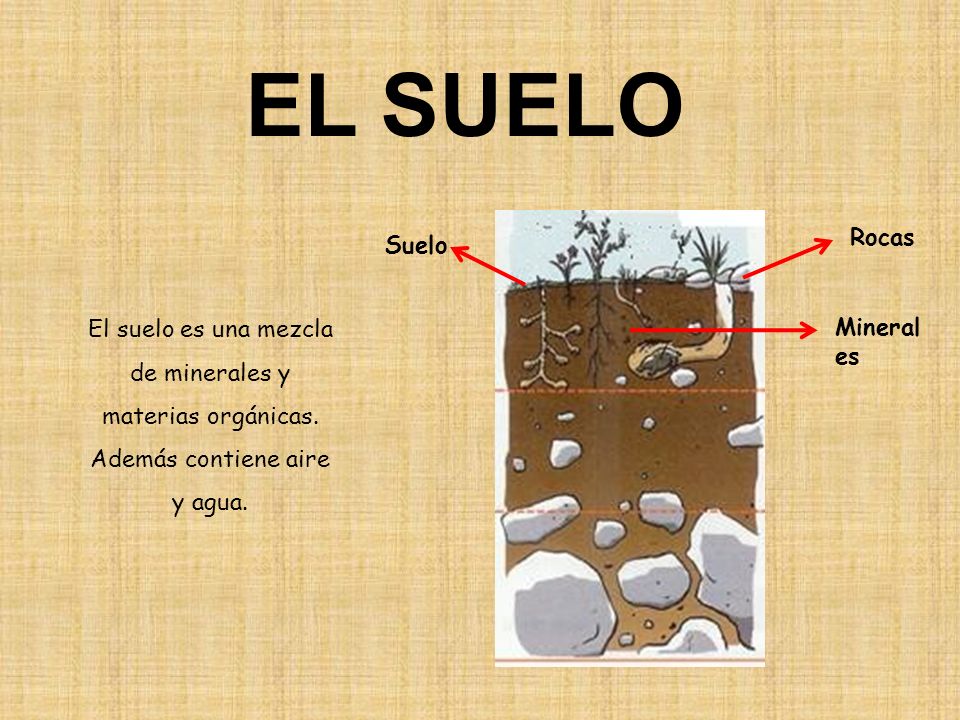 EL SUELO Rocas. Suelo. El suelo es una mezcla de minerales y materias orgánicas. Además contiene aire y agua.