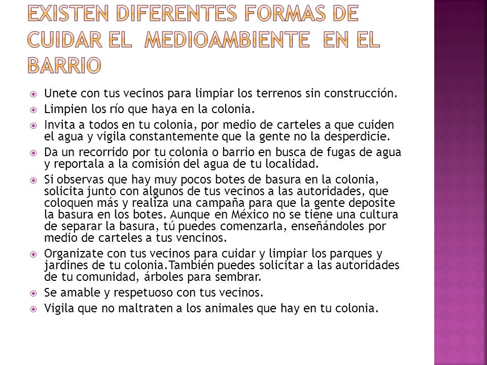 Existen diferentes formas de cuidar el medioambiente en el barrio