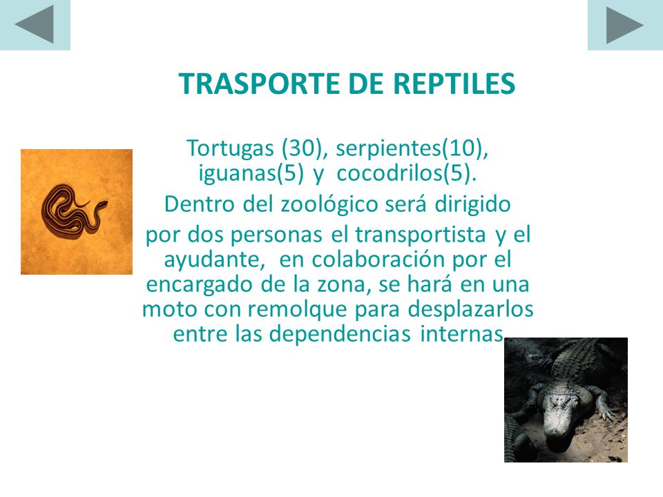 TRASPORTE DE REPTILES Tortugas (30), serpientes(10), iguanas(5) y cocodrilos(5). Dentro del zoológico será dirigido.