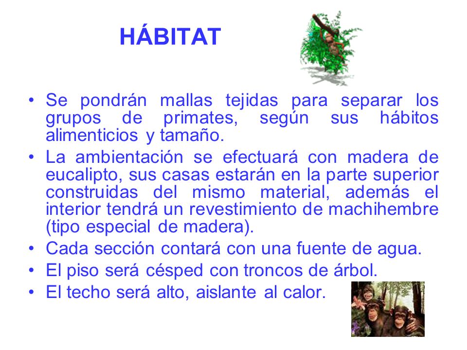 HÁBITAT Se pondrán mallas tejidas para separar los grupos de primates, según sus hábitos alimenticios y tamaño.