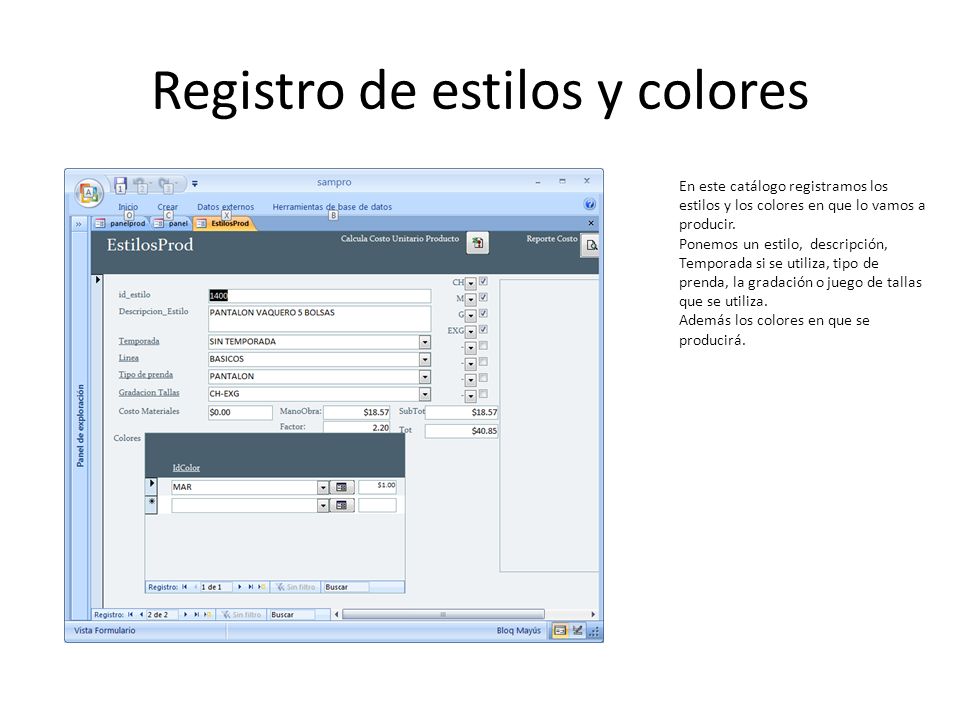 Registro de estilos y colores