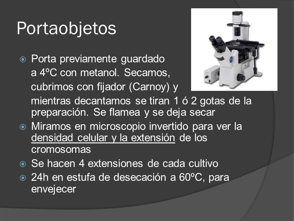 Portaobjetos Porta previamente guardado a 4ºC con metanol. Secamos,