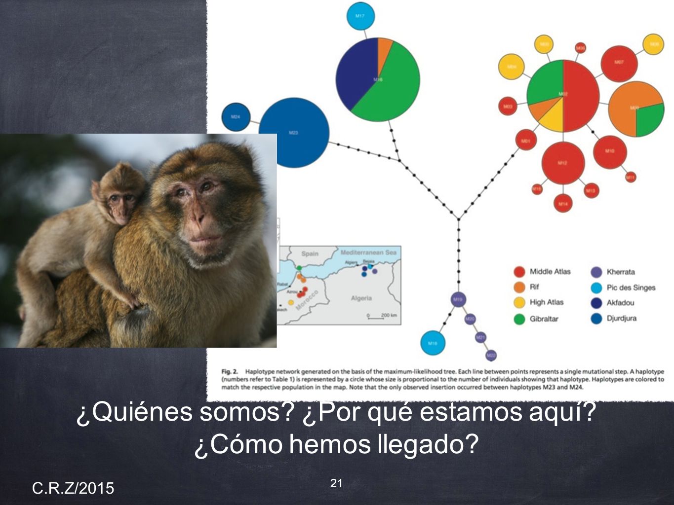 ¿Quiénes somos ¿Por qué estamos aquí ¿Cómo hemos llegado