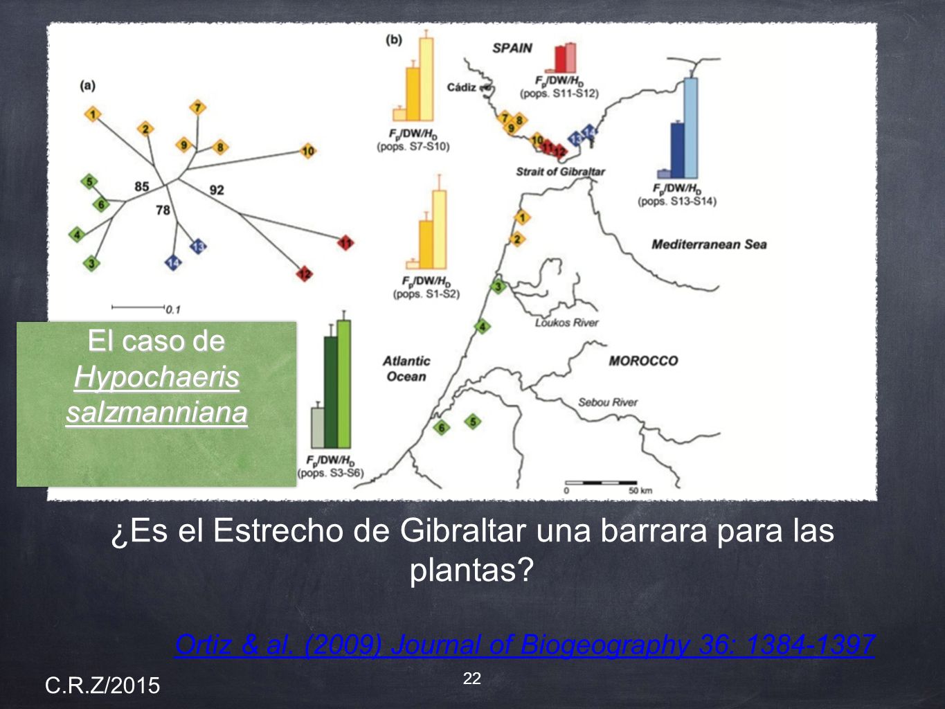 ¿Es el Estrecho de Gibraltar una barrara para las plantas