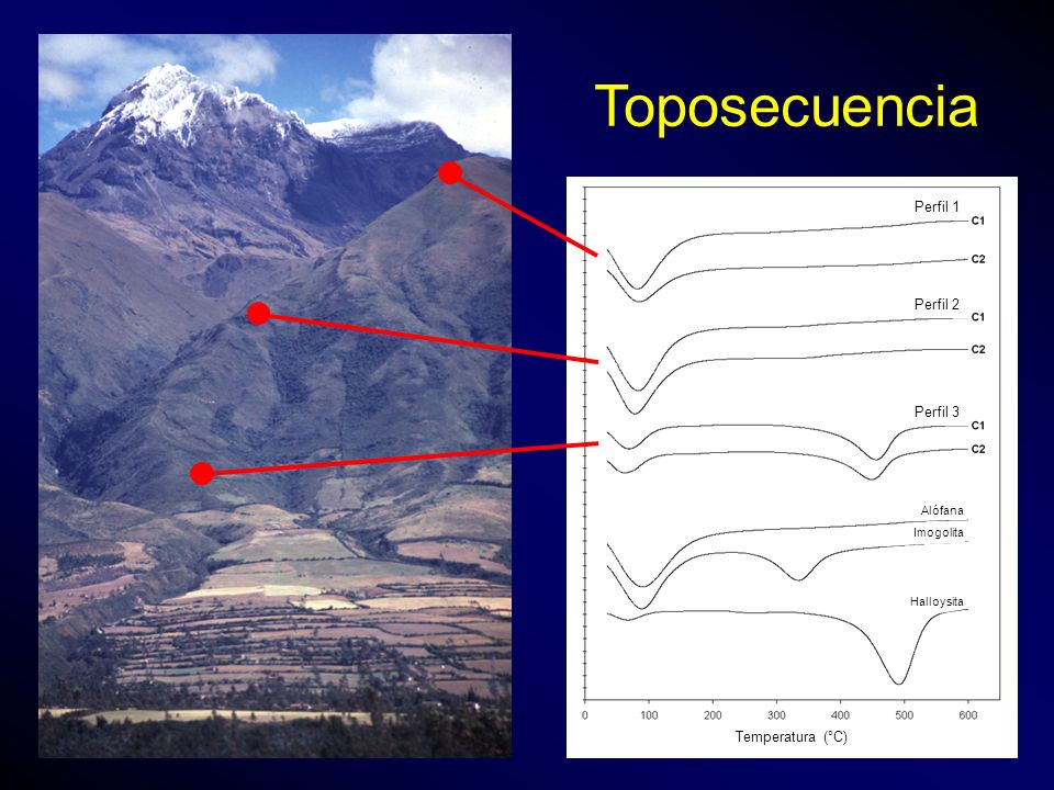 Toposecuencia Perfil 1 Perfil 2 Perfil 3 Temperatura (°C) Alófana