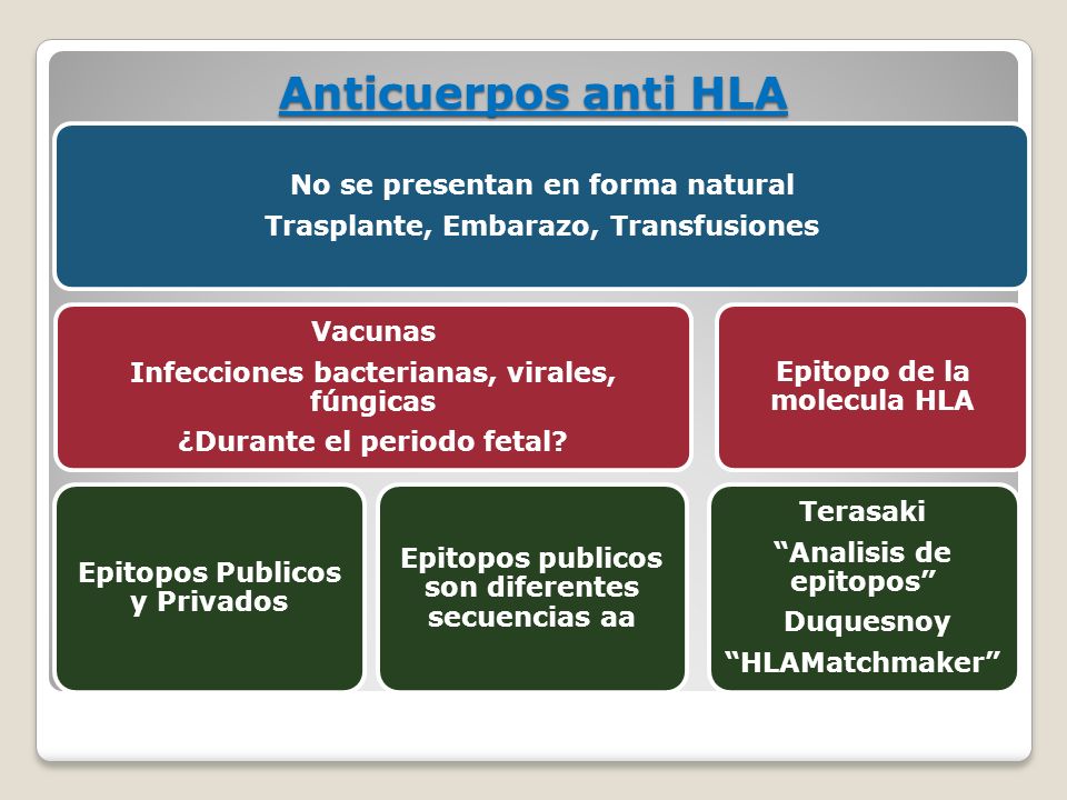 Anticuerpos anti HLA Vacunas No se presentan en forma natural Terasaki