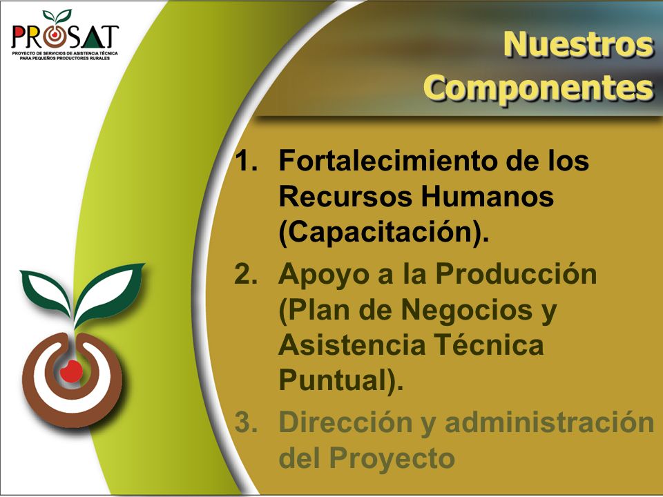 Nuestros Componentes. 1. Fortalecimiento de los Recursos Humanos (Capacitación).