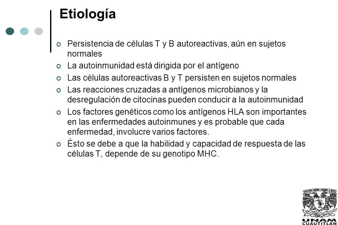 Etiología Persistencia de células T y B autoreactivas, aún en sujetos normales. La autoinmunidad está dirigida por el antígeno.