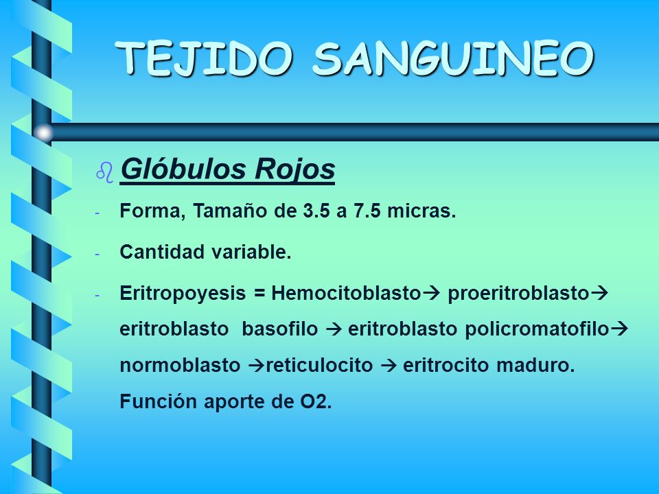TEJIDO SANGUINEO Glóbulos Rojos Forma, Tamaño de 3.5 a 7.5 micras.