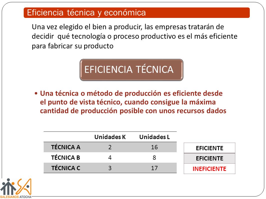 Eficiencia técnica y económica